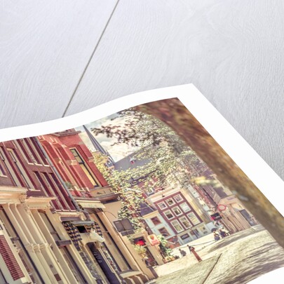 City street, Amsterdam by Assaf Frank